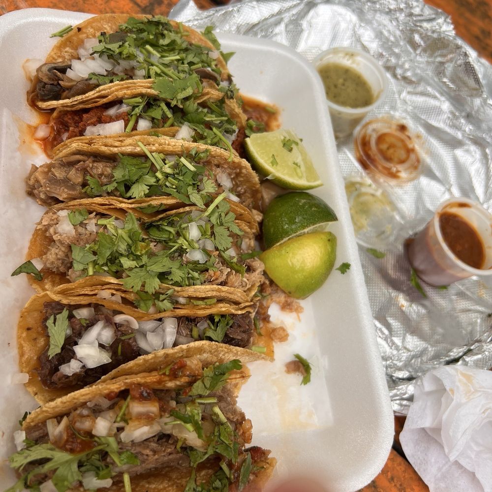 Tried all 6 various tacos on menu
