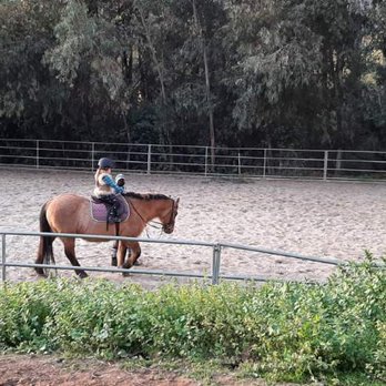 Hidden Fox Farm - Horse Boarding Near Me - El Cajon, California Hidden Fox Farm - Horse Boarding Near Me - El Cajon, California