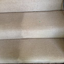 William's Carpet Cleaning