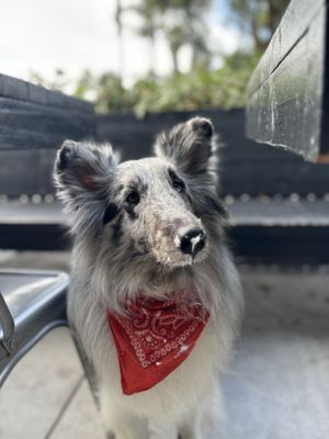 MOE COFFEE-NORTH PARK by null