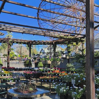 High Hand Cafe - New American Near Me - Loomis, California High Hand Cafe - New American Near Me - Loomis, California
