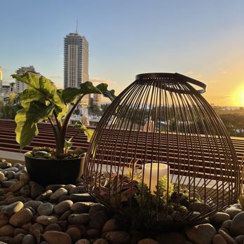 Solera - Lounges Near Me - Honolulu, Hawaii Solera - Lounges Near Me - Honolulu, Hawaii