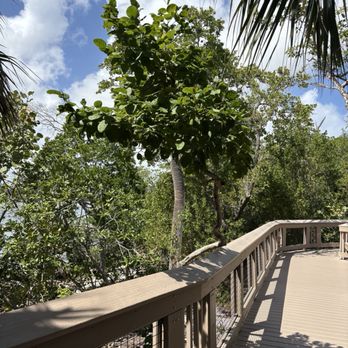 Gumbo Limbo Nature Center - Parks Near Me - Boca Raton, Florida Gumbo Limbo Nature Center - Parks Near Me - Boca Raton, Florida