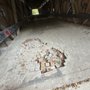 Darlington Covered Bridge