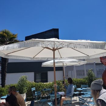 Dart coffee Co - Sit, study, and  enjoy - Coffee Roasteries Near Me - Santa Barbara, California