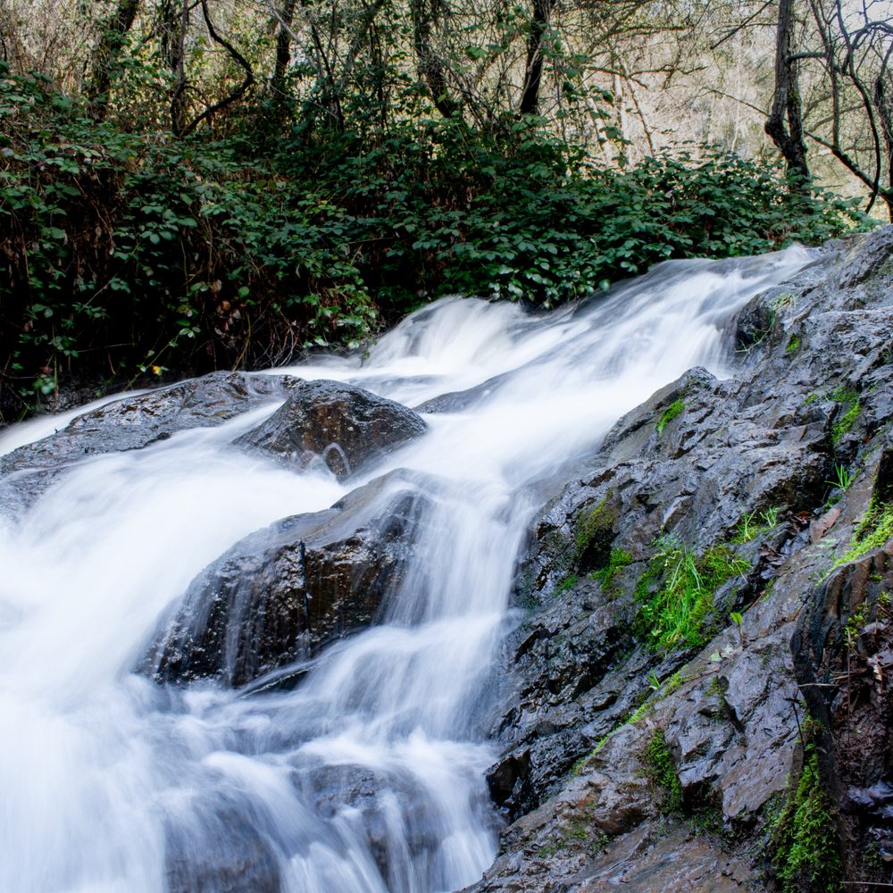 Hidden Falls Regional Park - Parks Near Me - Auburn, California