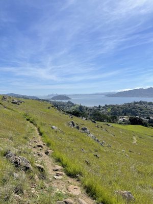 Ring Mountain Preserve by null