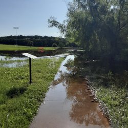 Lion's Park