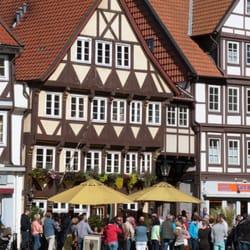 Alt-Wolfenbüttel "Theo" - Ein schöner Sommertag im Alt-Wolfenbüttel