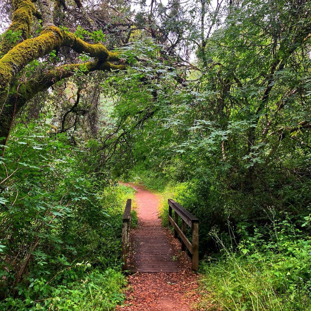 Thornewood Preserve - Cute little bridge - Parks Near Me - Woodside, California Thornewood Preserve - Cute little bridge - Parks Near Me - Woodside, California
