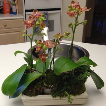 Flowers By Michael - Florists Near Me - Los Angeles, California Flowers By Michael - Florists Near Me - Los Angeles, California