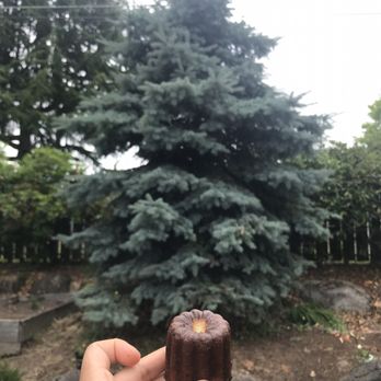 Courier Coffee Roasters - I took my canele to-go and it made the Christmas tree complete! - Coffee Roasteries Near Me - Portland, Oregon