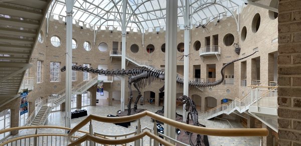 Fernbank Museum | 3D Theater | Forest by null