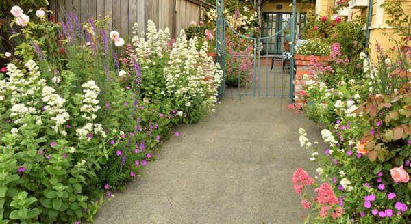 Arcata Stay Lodging by null