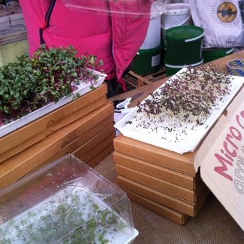 Sow Gourmet - Do-It-Yourself Food Near Me - London, XGL