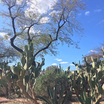 Ethel M Chocolates - Worth walking around and learning about the different cacti! - Botanical Gardens Near Me - Henderson, Nevada