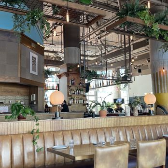 The Monroe - New American Near Me - Orlando, Florida The Monroe - New American Near Me - Orlando, Florida
