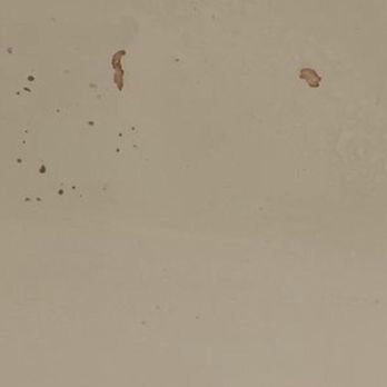 Quality Inn & Suites - Blood in the tub - Hotels Near Me - Walnut, California Quality Inn & Suites - Blood in the tub - Hotels Near Me - Walnut, California
