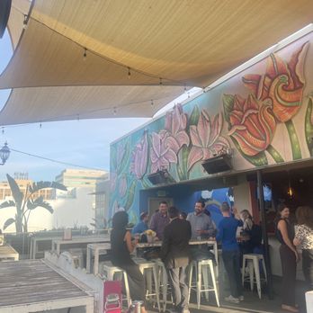 Darling Aviary - Bars Near Me - Sacramento, California