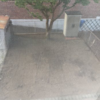 J & H Landscaping - Cleaned all area out and turned over soil. - Landscaping Near Me - Ozone Park, New York J & H Landscaping - Cleaned all area out and turned over soil. - Landscaping Near Me - Ozone Park, New York