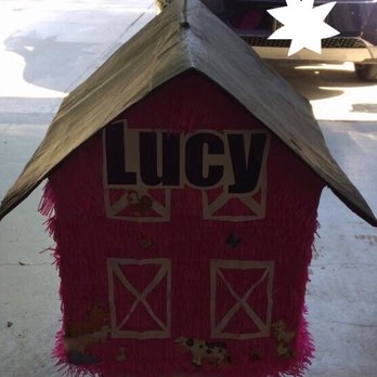 Reyes Nopalitos - Failure of a piñata they made me. - Party Supplies Near Me - Houston, Texas