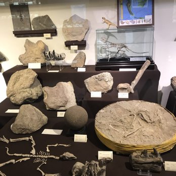 Dave's Down To Earth Rock Shop - Jewelry Near Me - Evanston, Illinois
