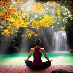 Holistic Health Center of Dallas