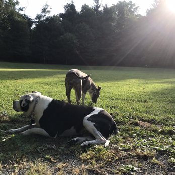 Gambrill State Park - Dog friendly! - Parks Near Me - Frederick, Maryland
