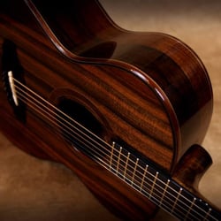 Schenk Guitars - Brazilian Rosewood Ophirio with a Sinker Redwood Top
