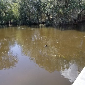 Airboat Adventures - Boat Tours Near Me - Lafitte, Louisiana Airboat Adventures - Boat Tours Near Me - Lafitte, Louisiana