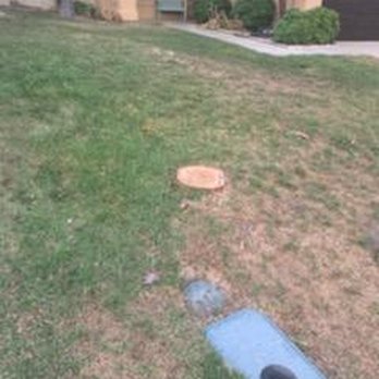 Marcelino's Tree Service - Tree Services Near Me - Hemet, California Marcelino's Tree Service - Tree Services Near Me - Hemet, California