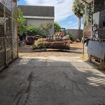 Bridgewood Tree Care - Redwood log loading up for the mill - Tree Services Near Me - Stockton, California Bridgewood Tree Care - Redwood log loading up for the mill - Tree Services Near Me - Stockton, California