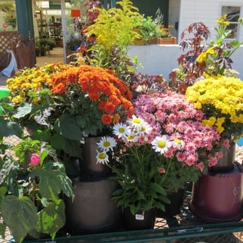 Happy Life Gardens - Beautiful flowers - Nurseries & Gardening Near Me - Evans, Colorado Happy Life Gardens - Beautiful flowers - Nurseries & Gardening Near Me - Evans, Colorado