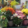 Photo of Happy Life Gardens
