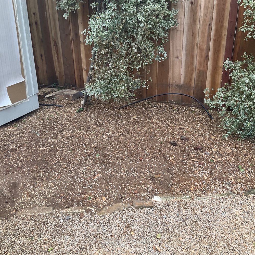 The Tree Brothers - All gone! - Tree Services Near Me - Salinas, California The Tree Brothers - All gone! - Tree Services Near Me - Salinas, California