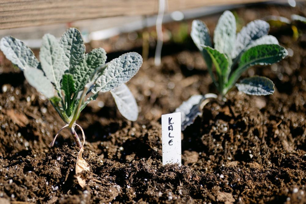 Beachside Rehab - grief counselor in West Palm Beach, FL