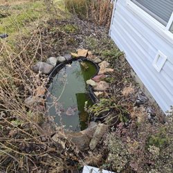 Idaho Landlords - This is the small pond in the backyard that they don't plan to fix.