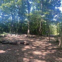 Dean Watts Park - Clearing in the woods and also at a fork in the road. We chose to do the right path, down a small hill.