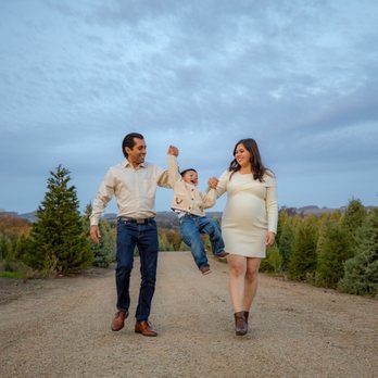 Pronzini Christmas Tree Farms - Pumpkin Patches Near Me - Petaluma, California