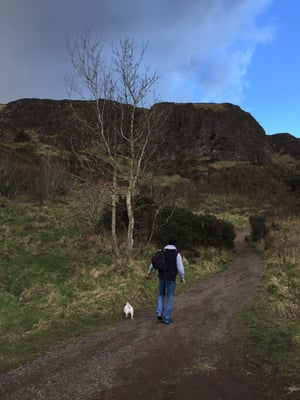 Cave Hill Country Park by null