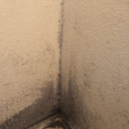 This is behind the dryer and I got most of it off but still it's a damn fire hazard. This is behind the dryer and I got most of it off but still it's a damn fire hazard.