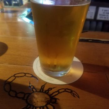 Alderman's Bar - The bar came with a little friend... - Dive Bars Near Me - Omaha, Nebraska