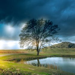 The Sierra Gallery & Boutique - A Light in the Darkness