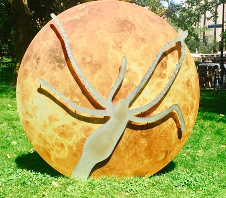 City Hall Park Greenmarket by null