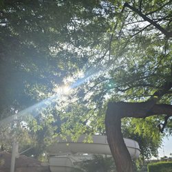 7/14/26