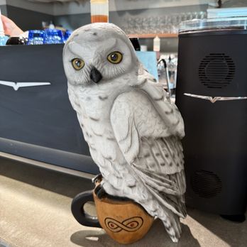 Snowy Owl - Cafes Near Me - Brewster, Massachusetts Snowy Owl - Cafes Near Me - Brewster, Massachusetts