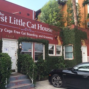 the best little cat house