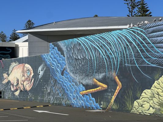 National Aquarium of New Zealand by null