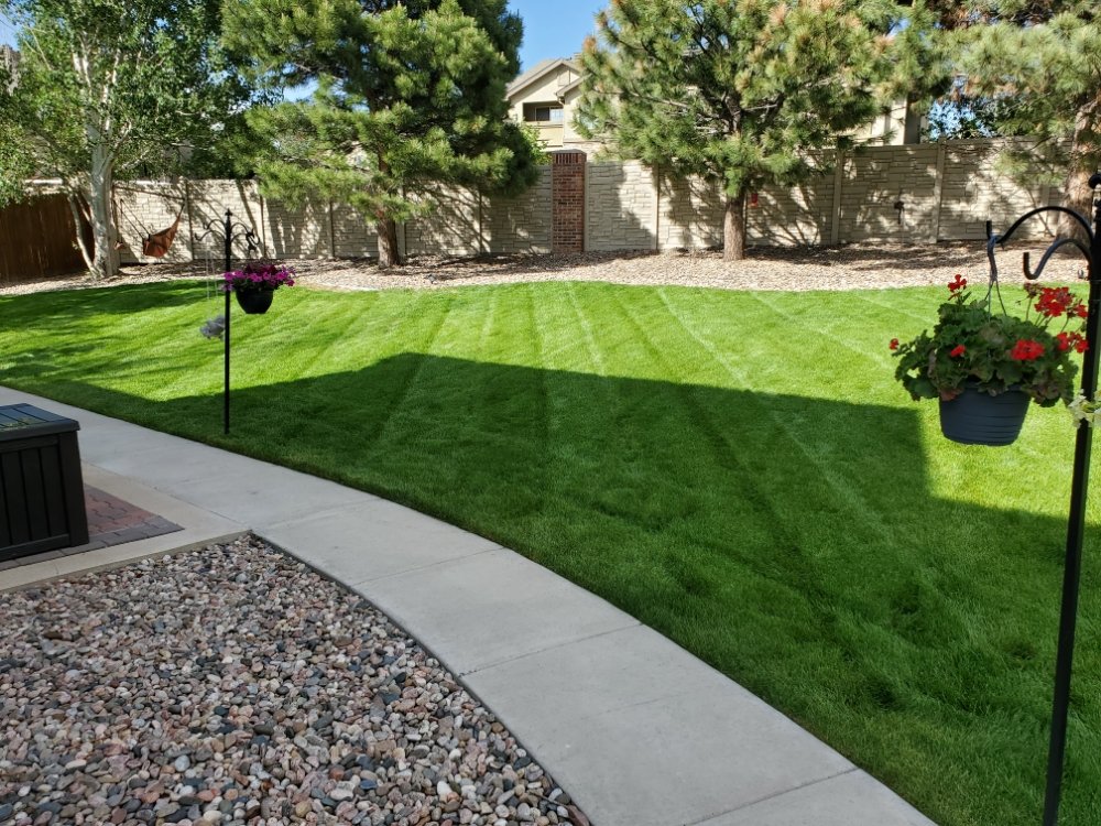 SUPERIOR LAWNCARE SERVICES Updated July 2024 4164 Austin Bluffs