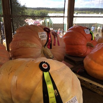 Durham Fair - Giant pumpkins - Festivals Near Me - Durham, Connecticut Durham Fair - Giant pumpkins - Festivals Near Me - Durham, Connecticut